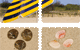 Strandmuscheln