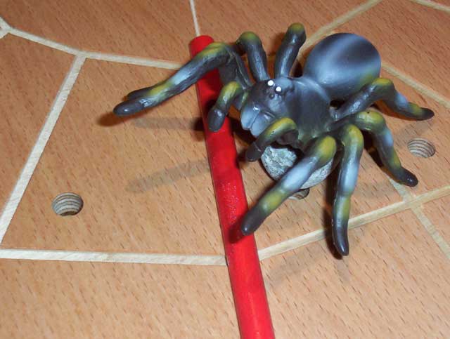Gefangen im Netz, das Spinnen-Spiel