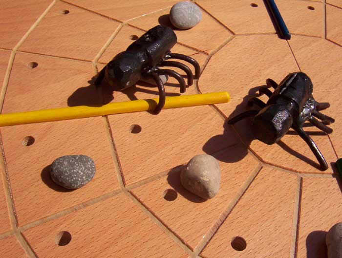 Gefangen im Netz, das Spinnen-Spiel
